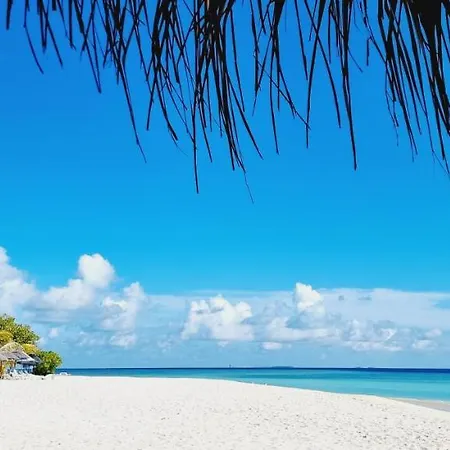 Gurus Maldives At Gulhi Island Hotel